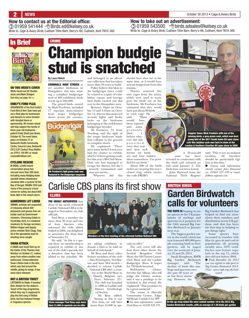 Cage & Aviary Birds Preview Pages