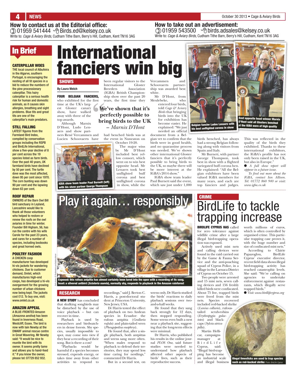 Cage & Aviary Birds Preview Pages