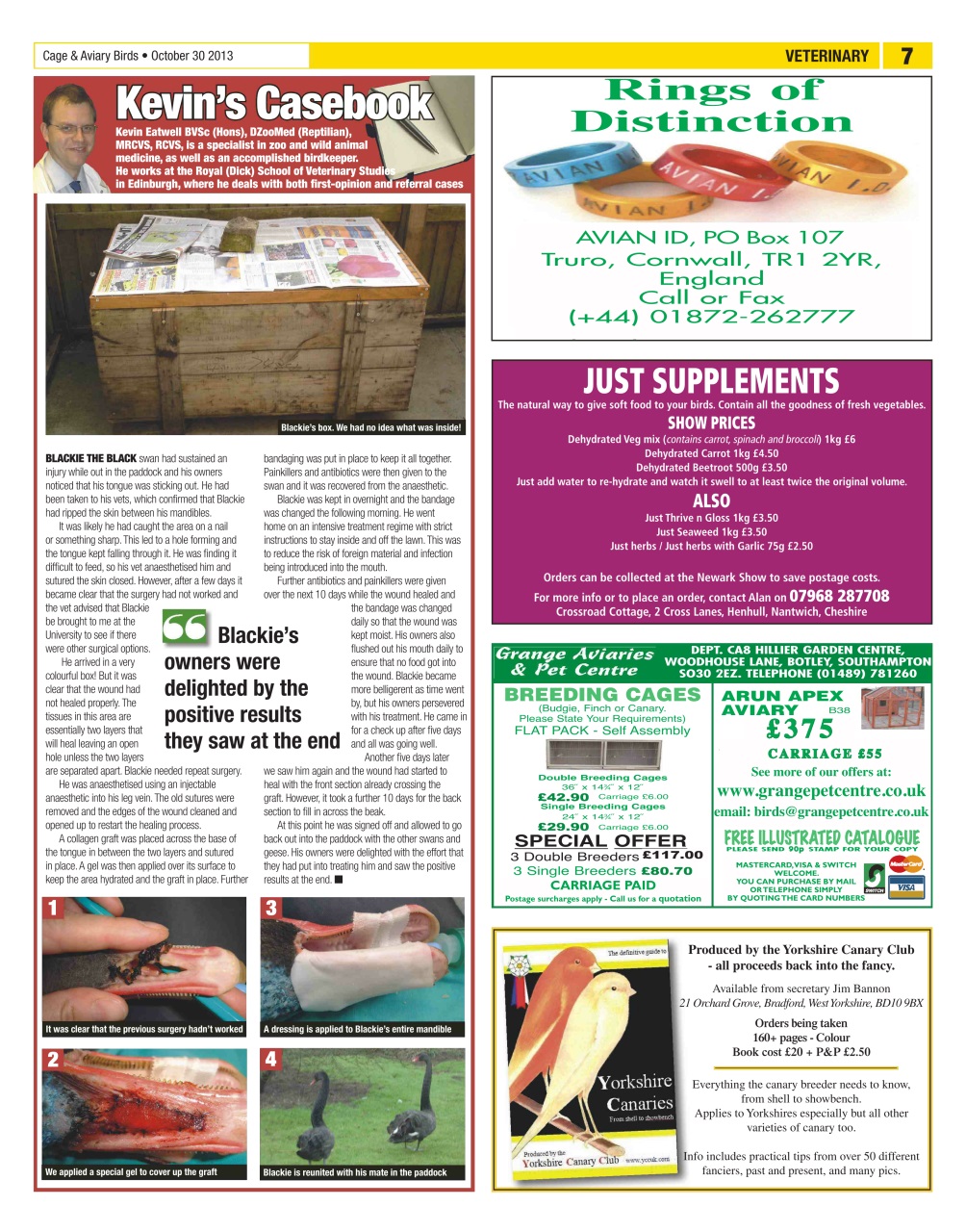 Cage & Aviary Birds Preview Pages