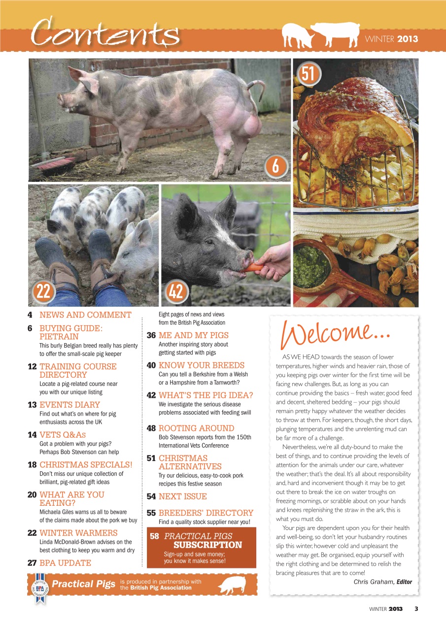 Practical Pigs Preview Pages