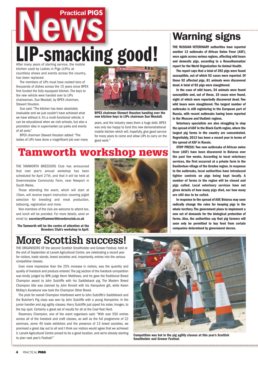 Practical Pigs Preview Pages