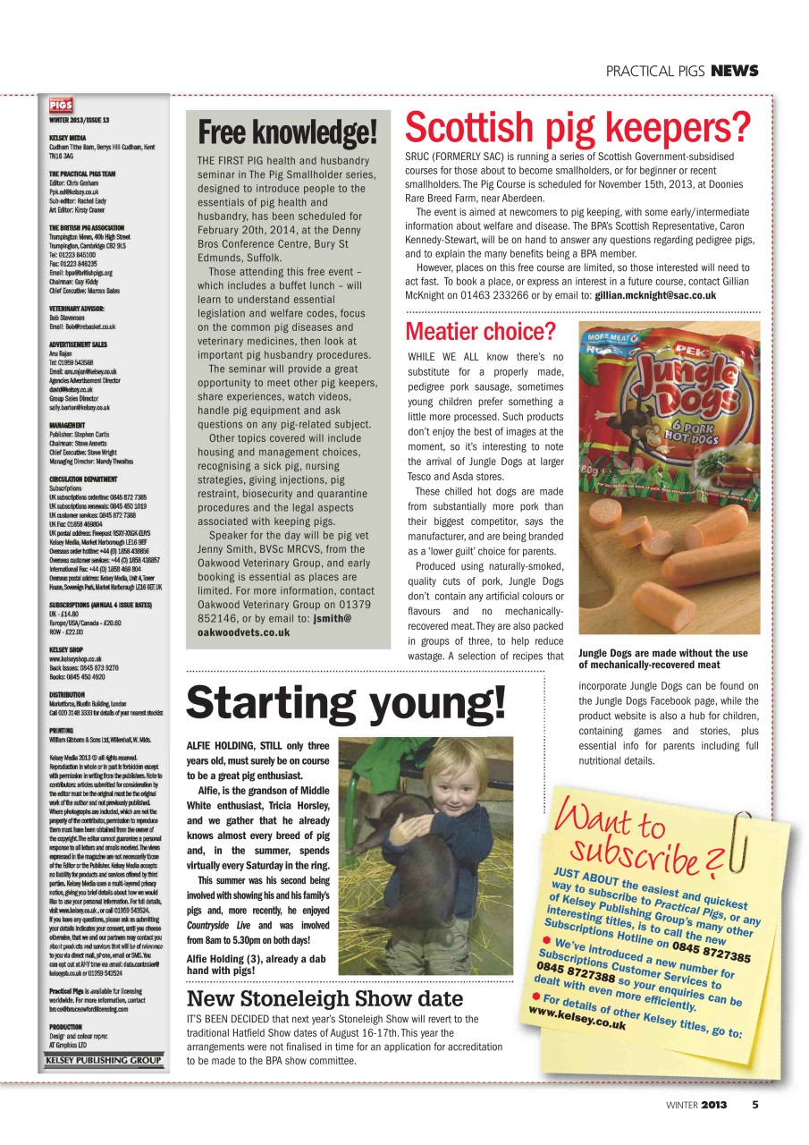 Practical Pigs Preview Pages