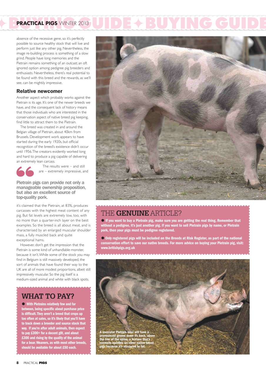 Practical Pigs Preview Pages