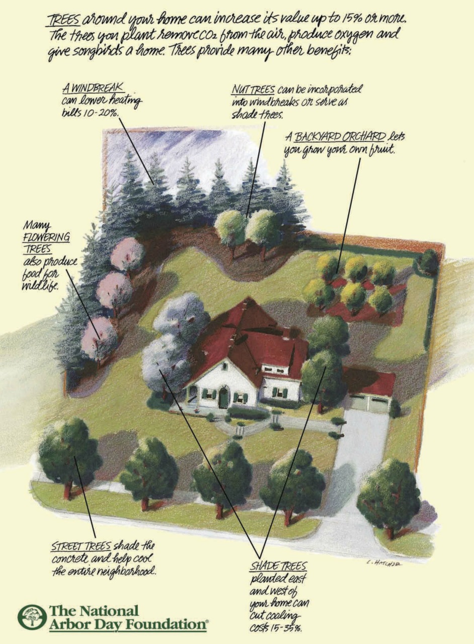 Cottages and Bungalows Preview Pages