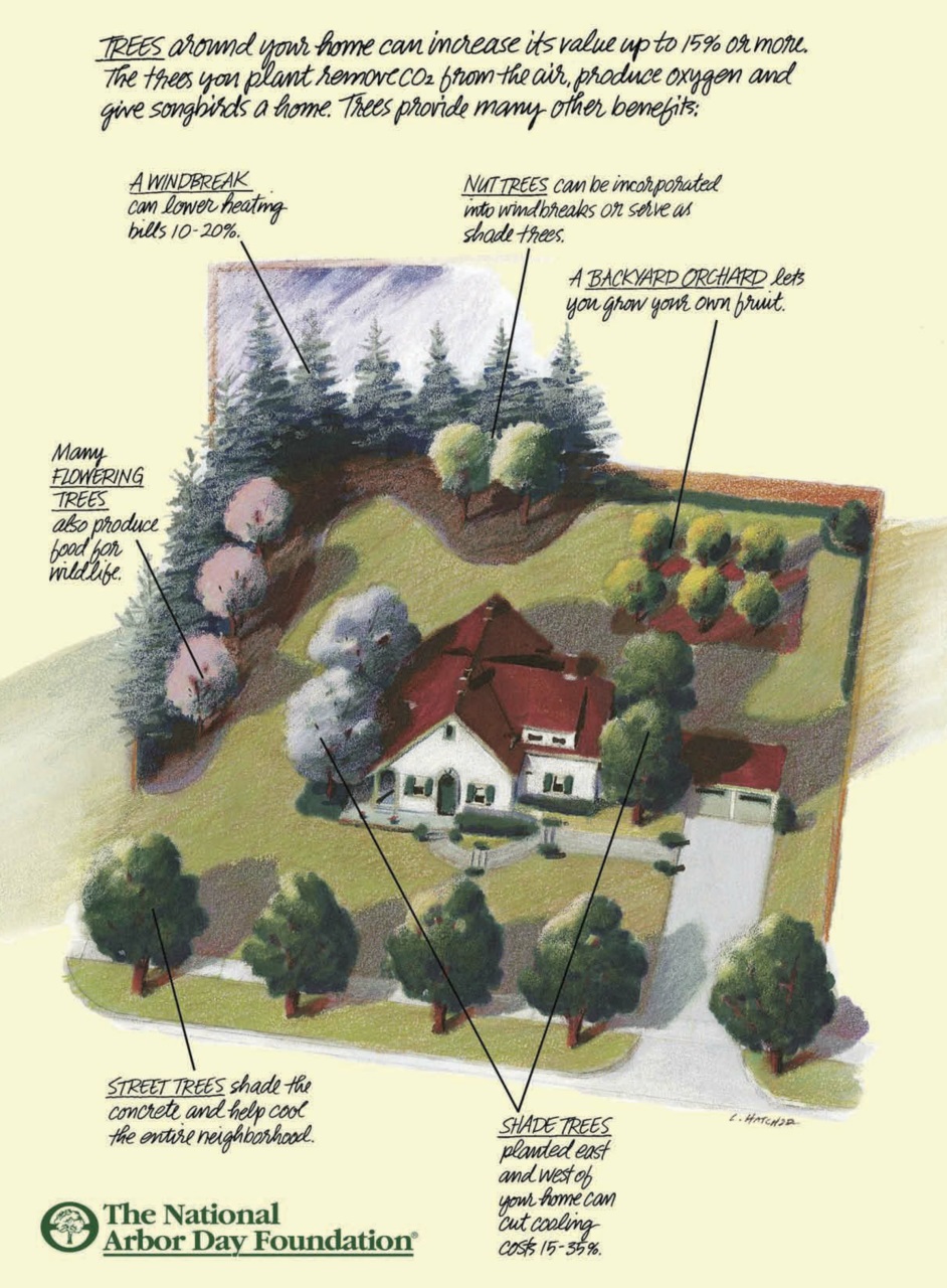 Cottages and Bungalows Preview Pages