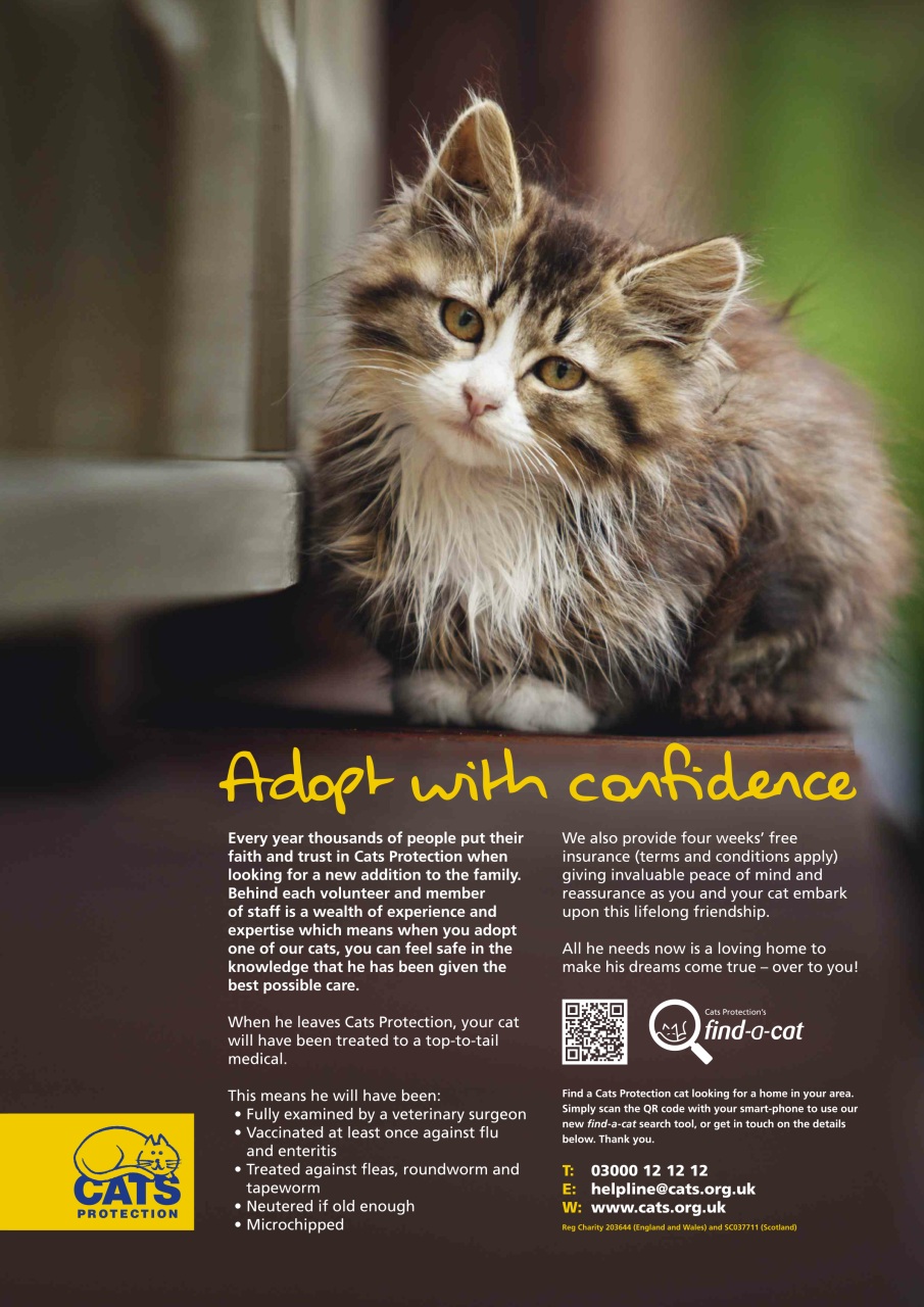 Cross Stitch Crazy Preview Pages