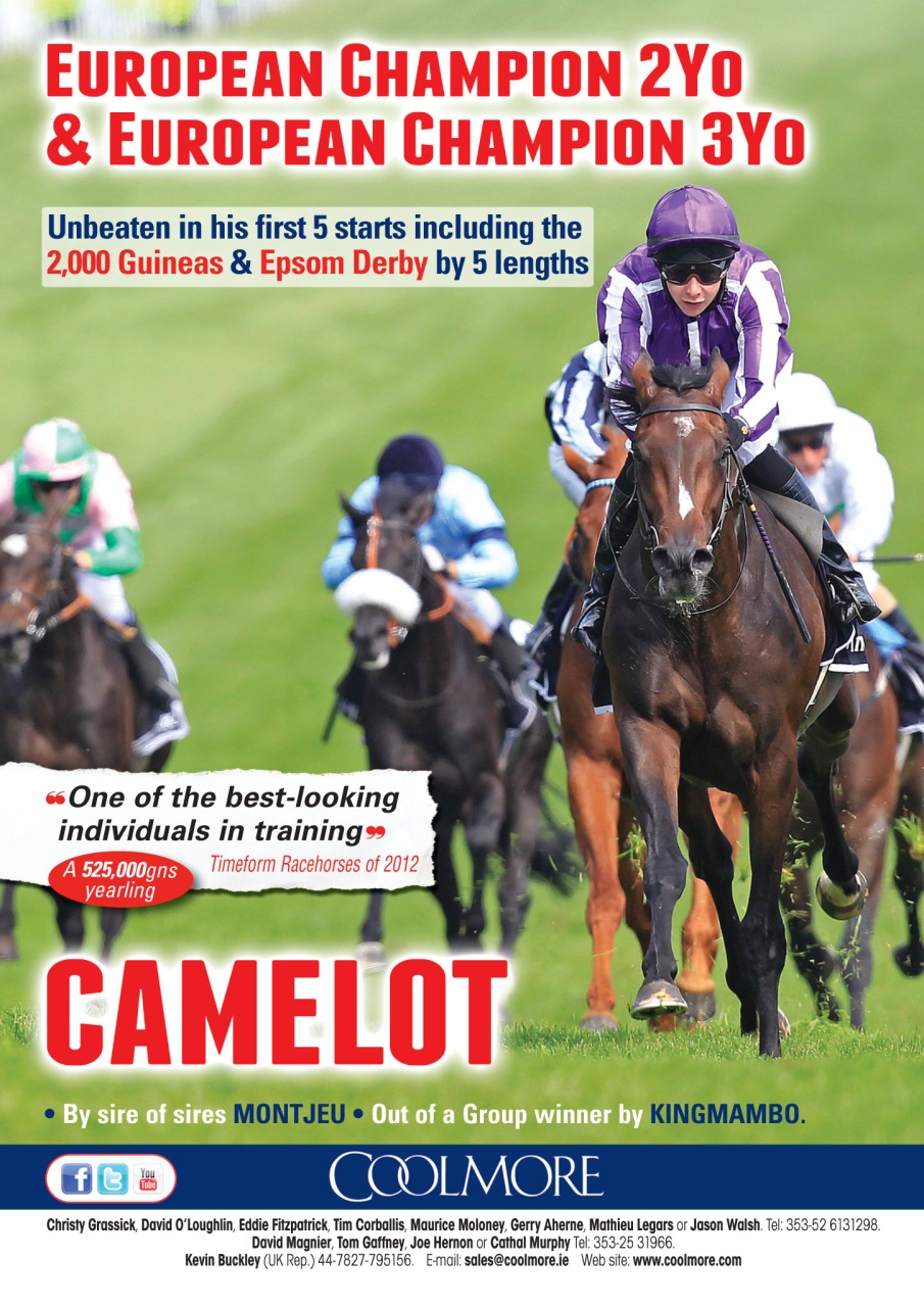 The Owner Breeder Preview Pages