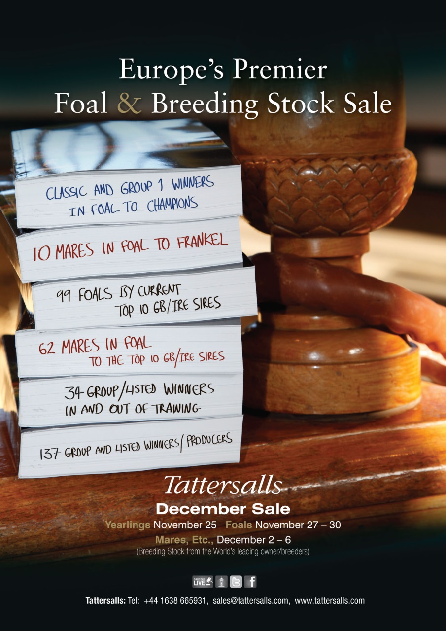 The Owner Breeder Preview Pages