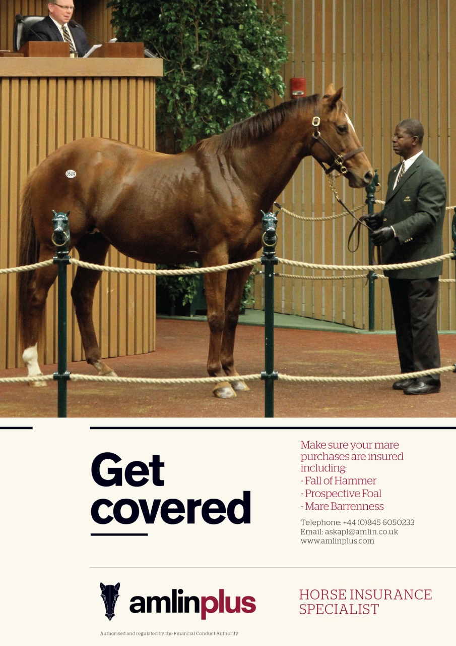 The Owner Breeder Preview Pages