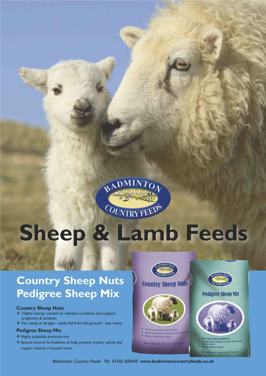 The Smallholder Preview Pages