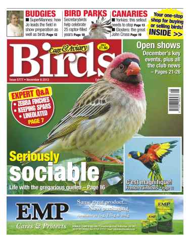 Cage & Aviary Birds issue No.5777 Seriously Sociable 