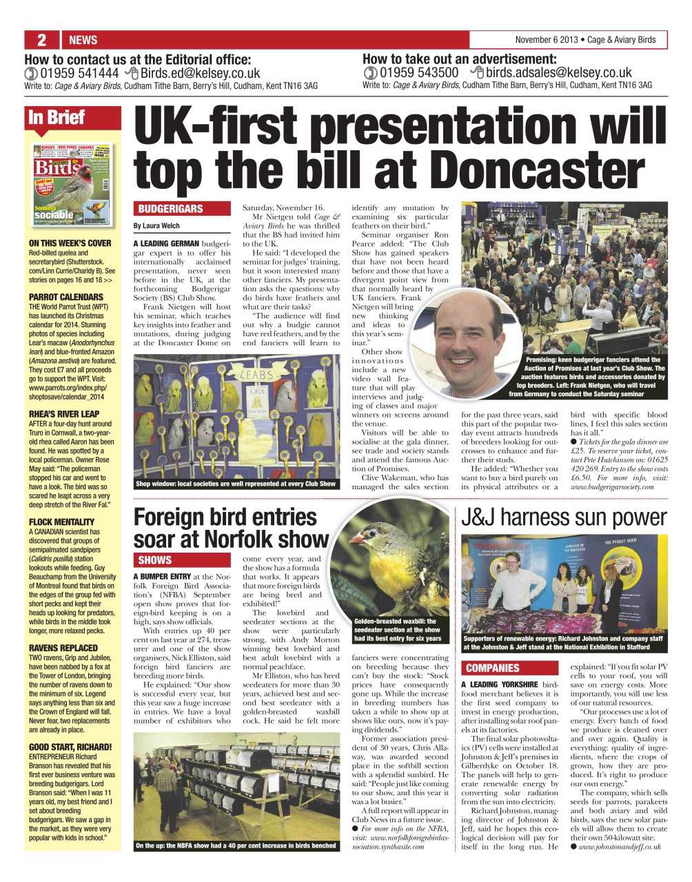 Cage & Aviary Birds Preview Pages