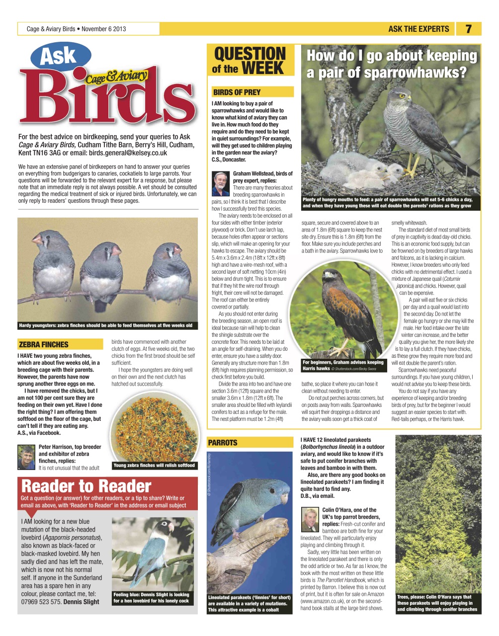 Cage & Aviary Birds Preview Pages