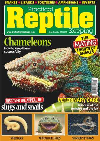 Practical Reptile Keeping issue No.56 How to Keep Chameleons