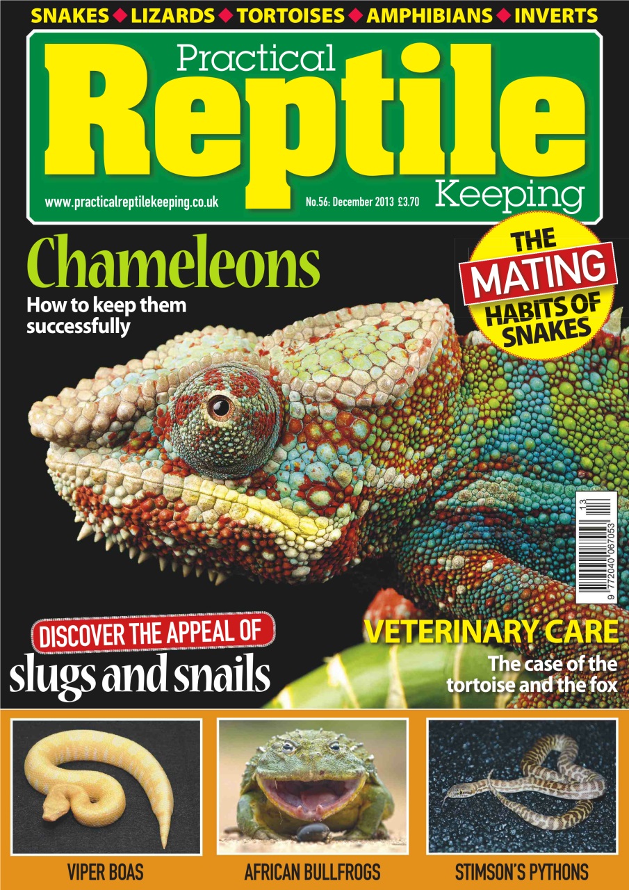 Practical Reptile Keeping Preview Pages