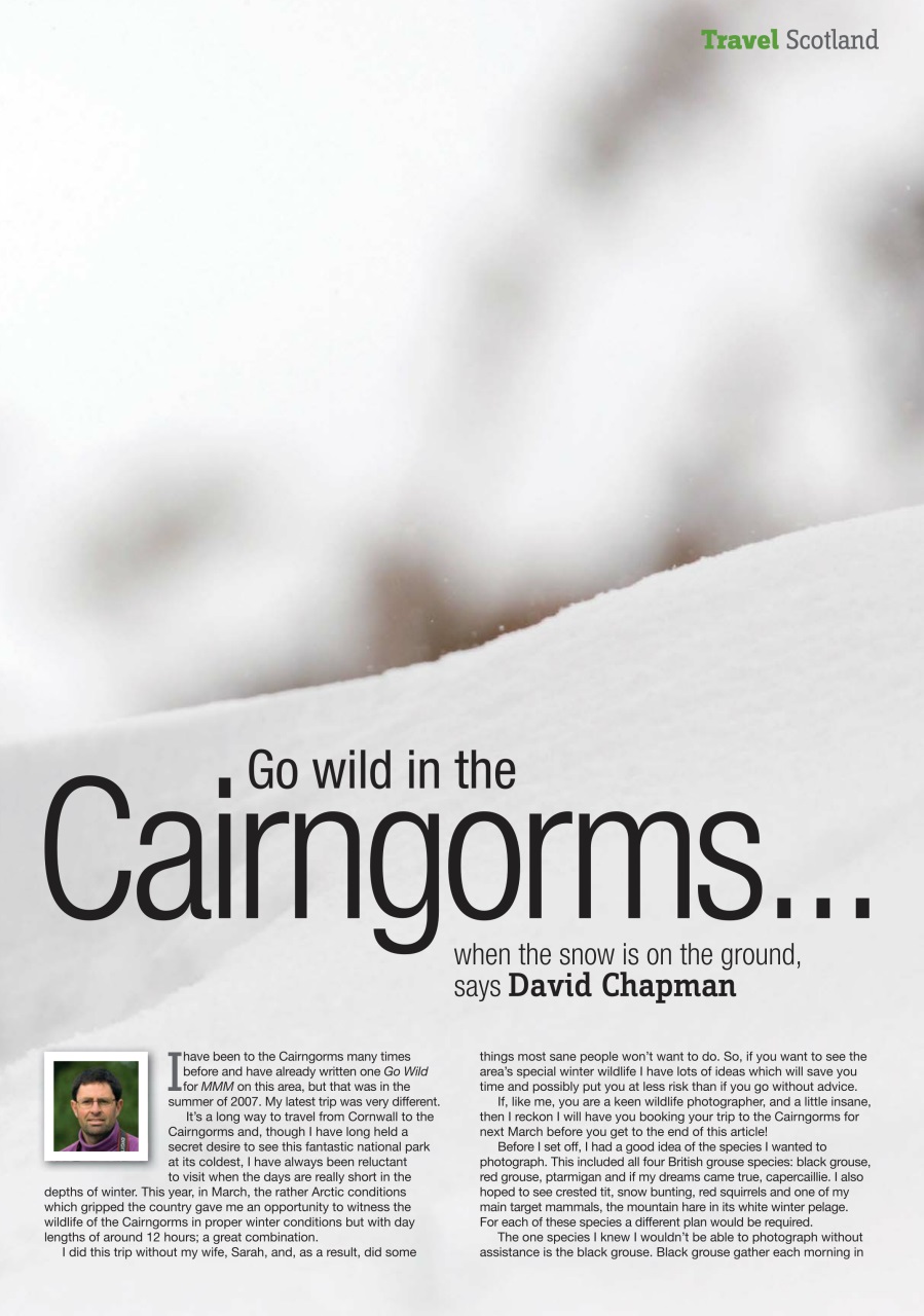 MMM magazine Preview Pages