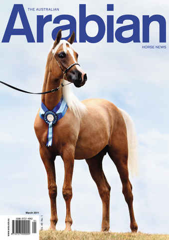 Australian Arabian Horse News issue March 2011 Volume 45 No. 1