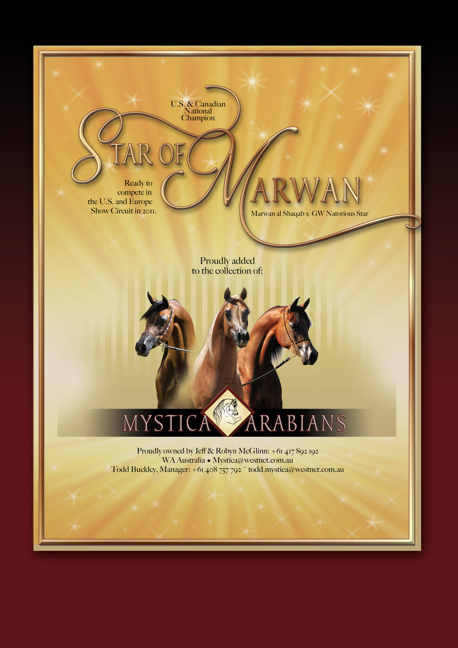 Australian Arabian Horse News Preview Pages