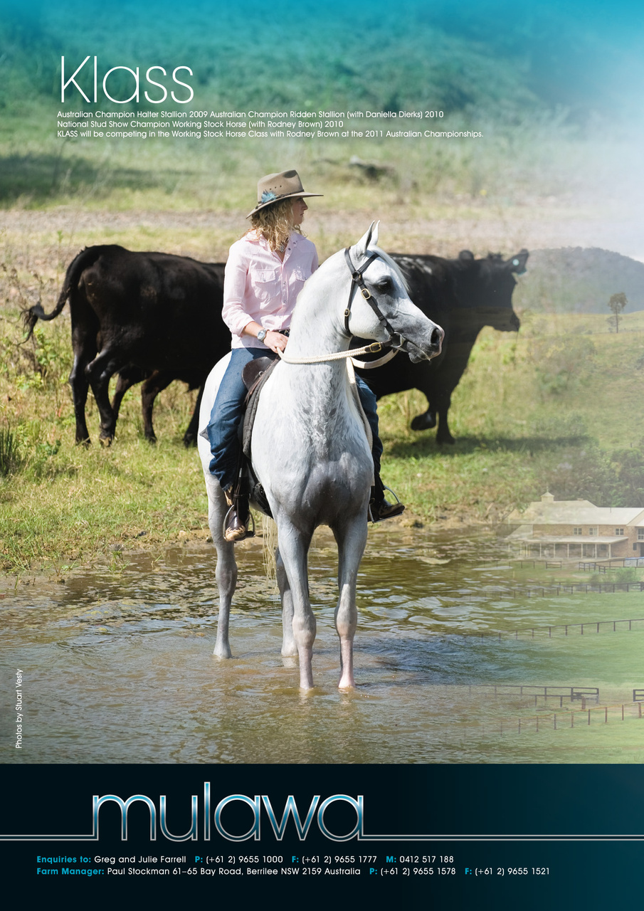 Australian Arabian Horse News Preview Pages