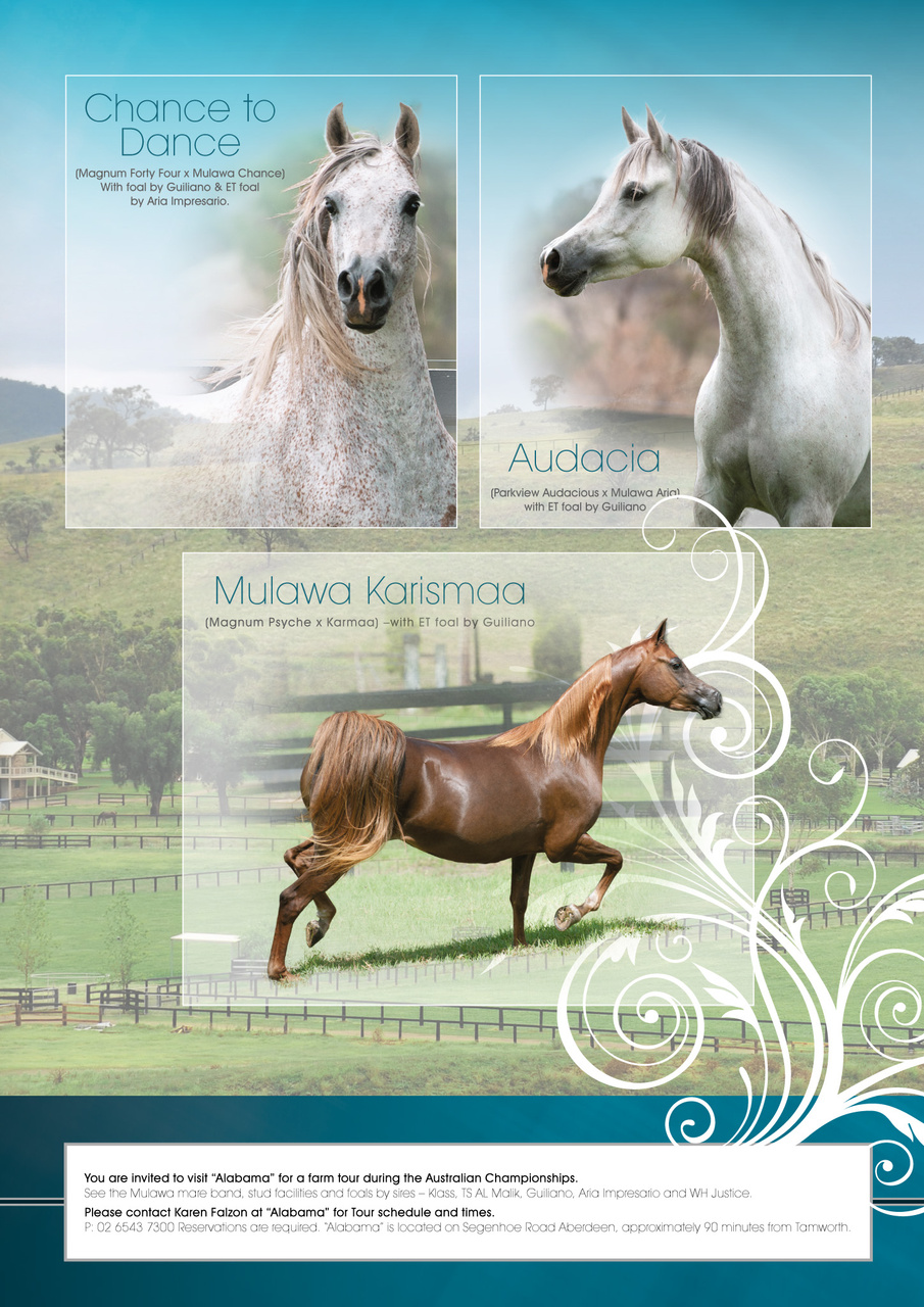 Australian Arabian Horse News Preview Pages