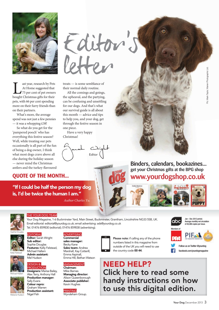 Your Dog Preview Pages