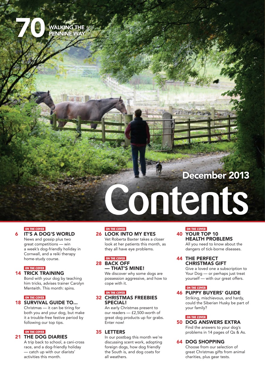 Your Dog Preview Pages