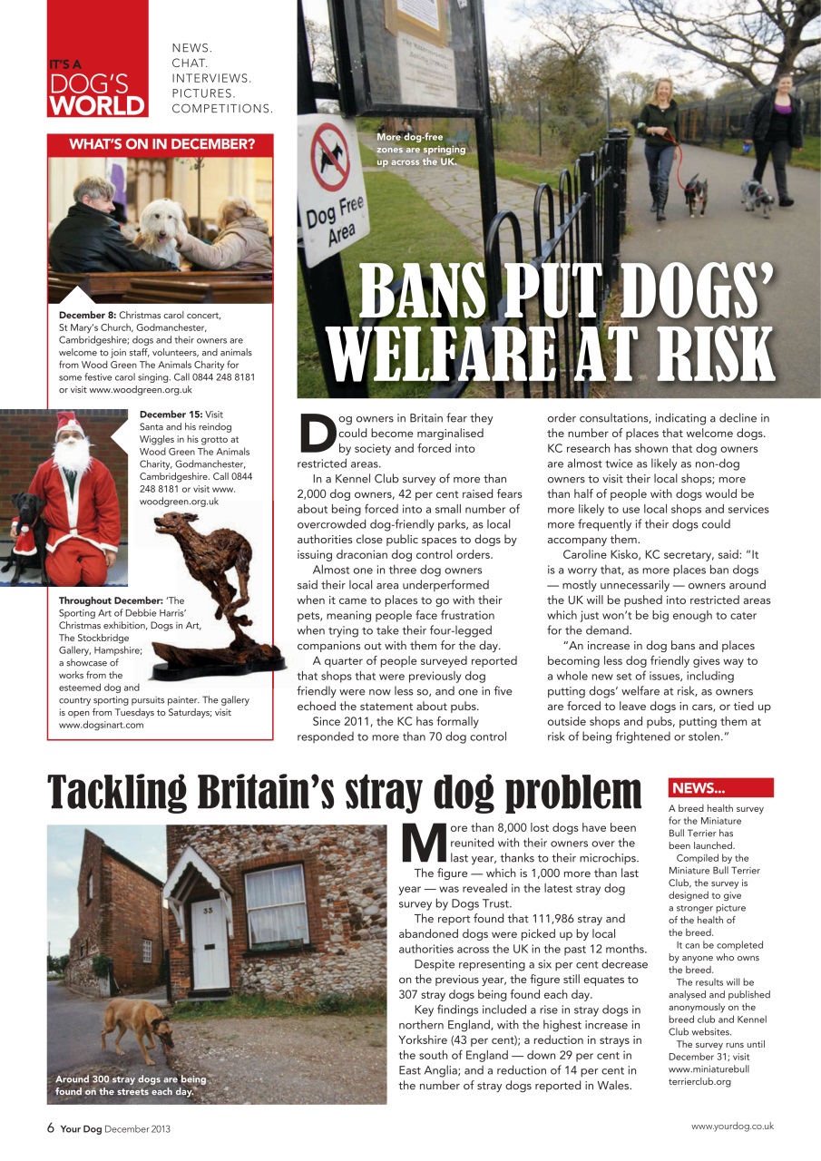 Your Dog Preview Pages