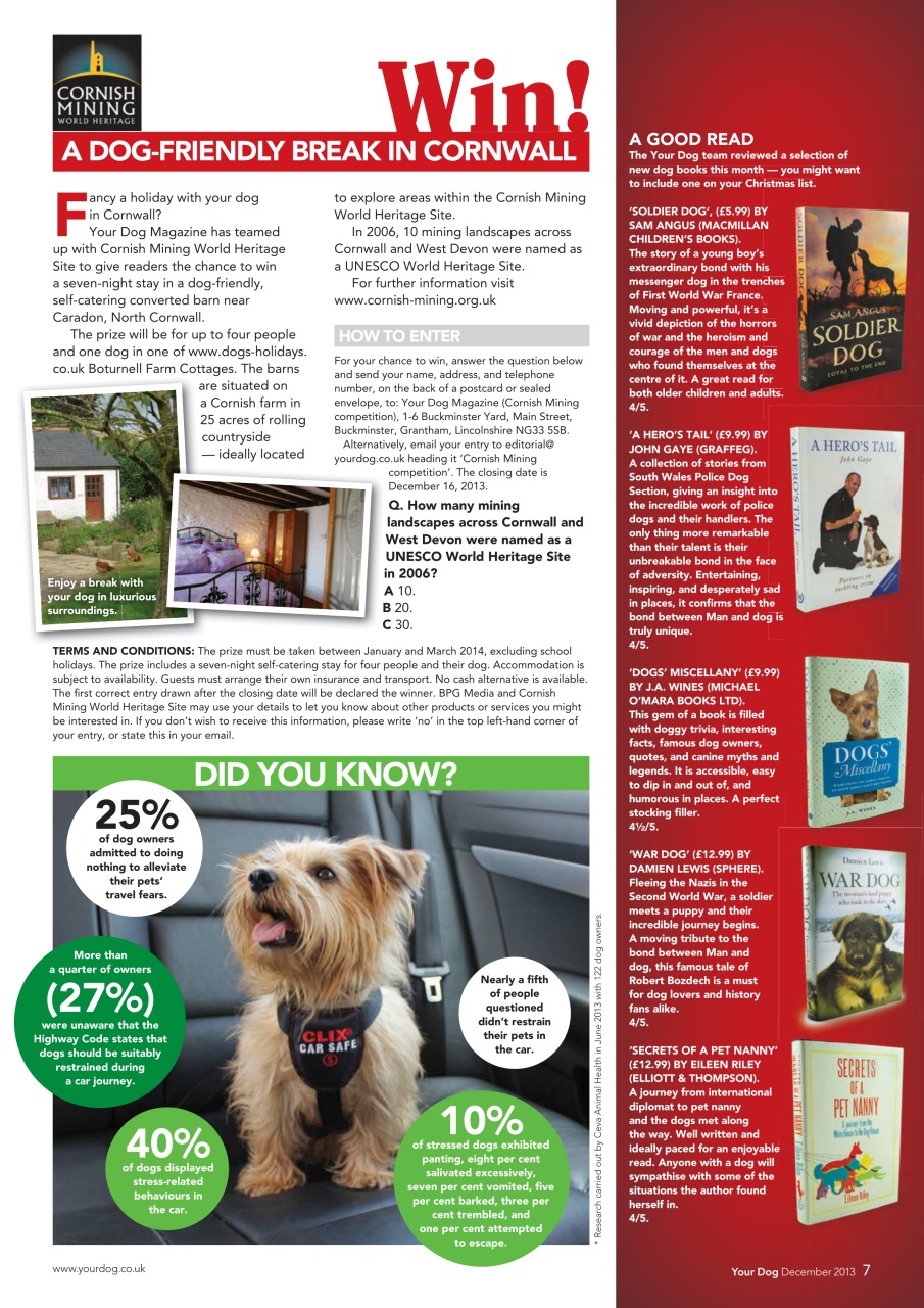 Your Dog Preview Pages