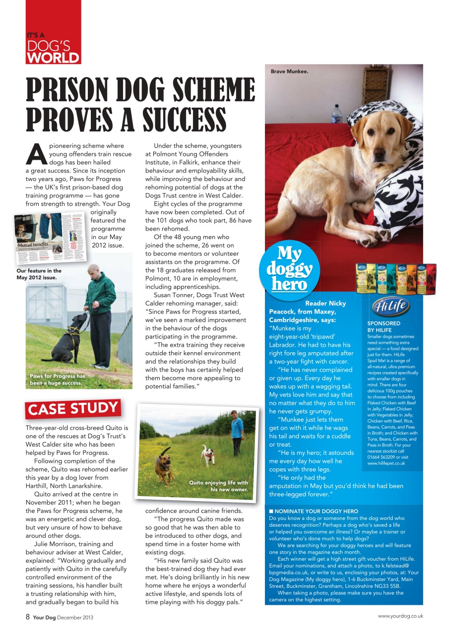 Your Dog Preview Pages