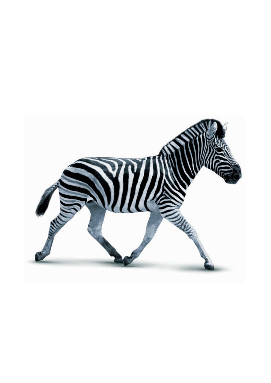 Cotswold Style Preview Pages