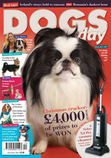 Dogs Today Magazine issue 