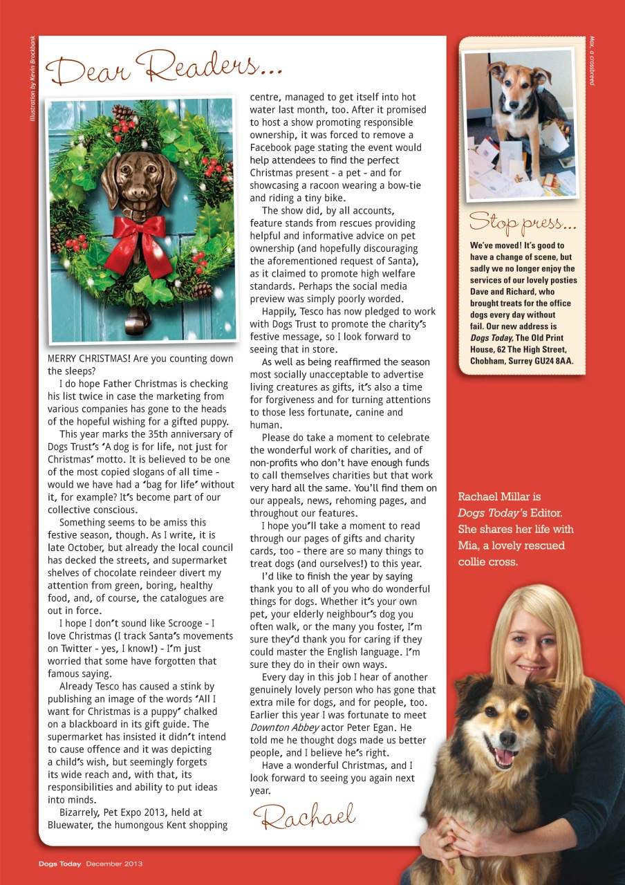 Dogs Today Magazine Preview Pages