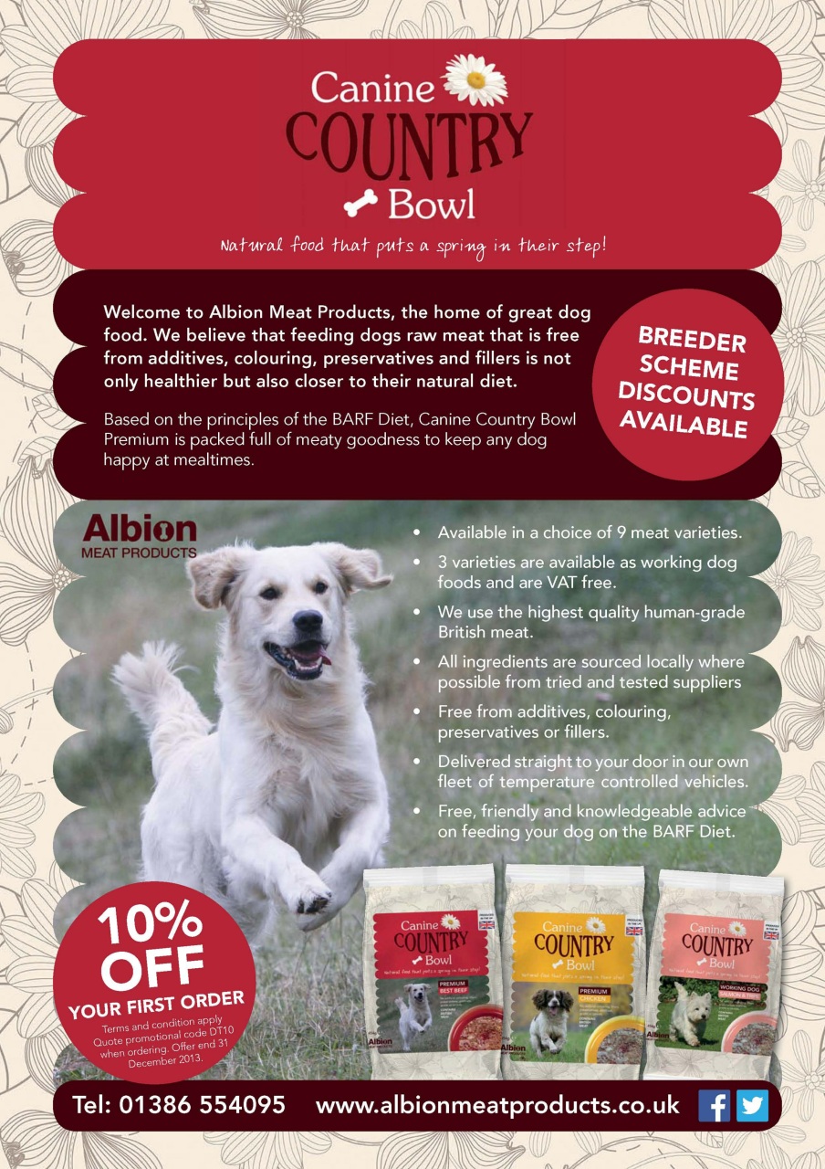 Dogs Today Magazine Preview Pages