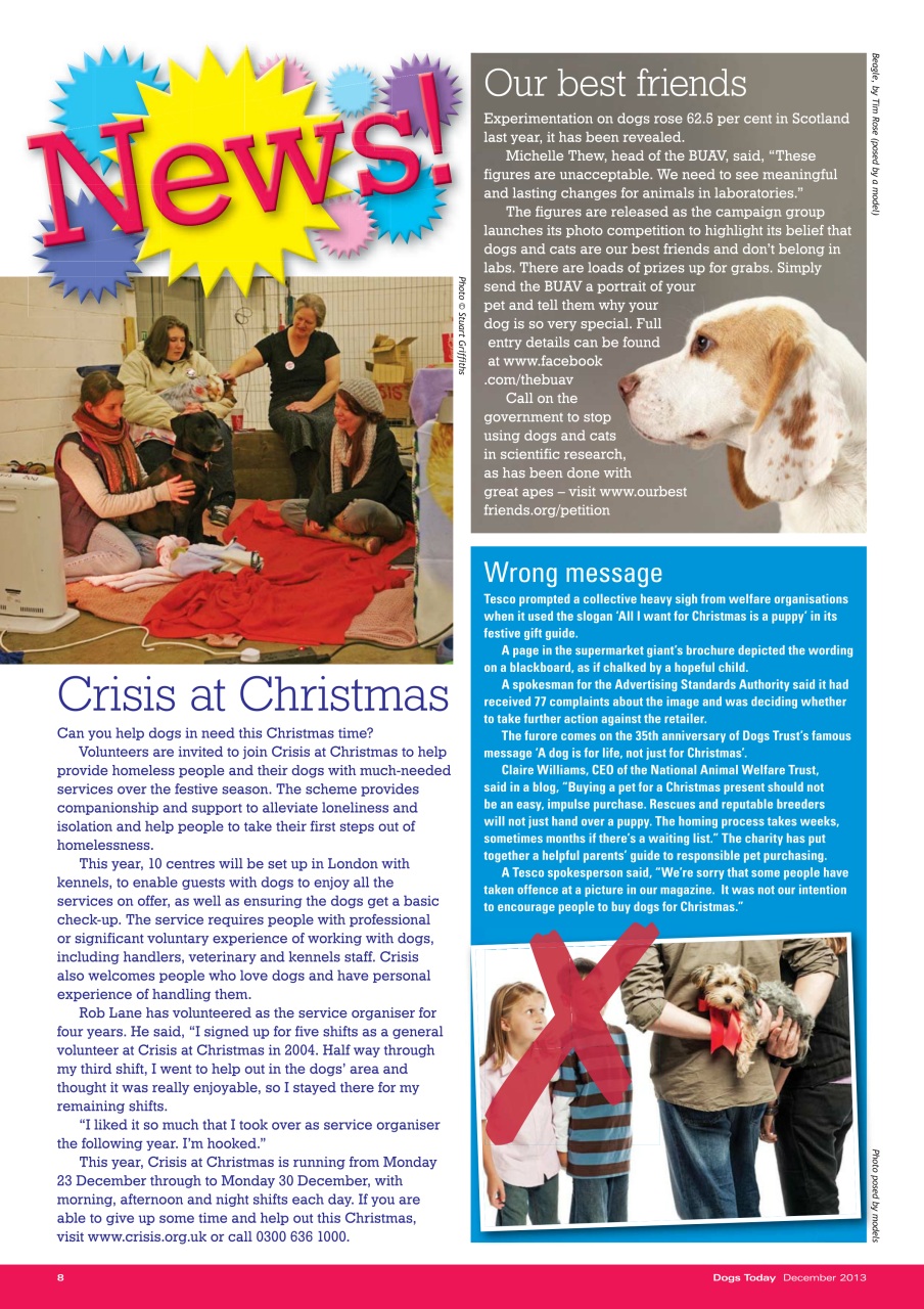 Dogs Today Magazine Preview Pages
