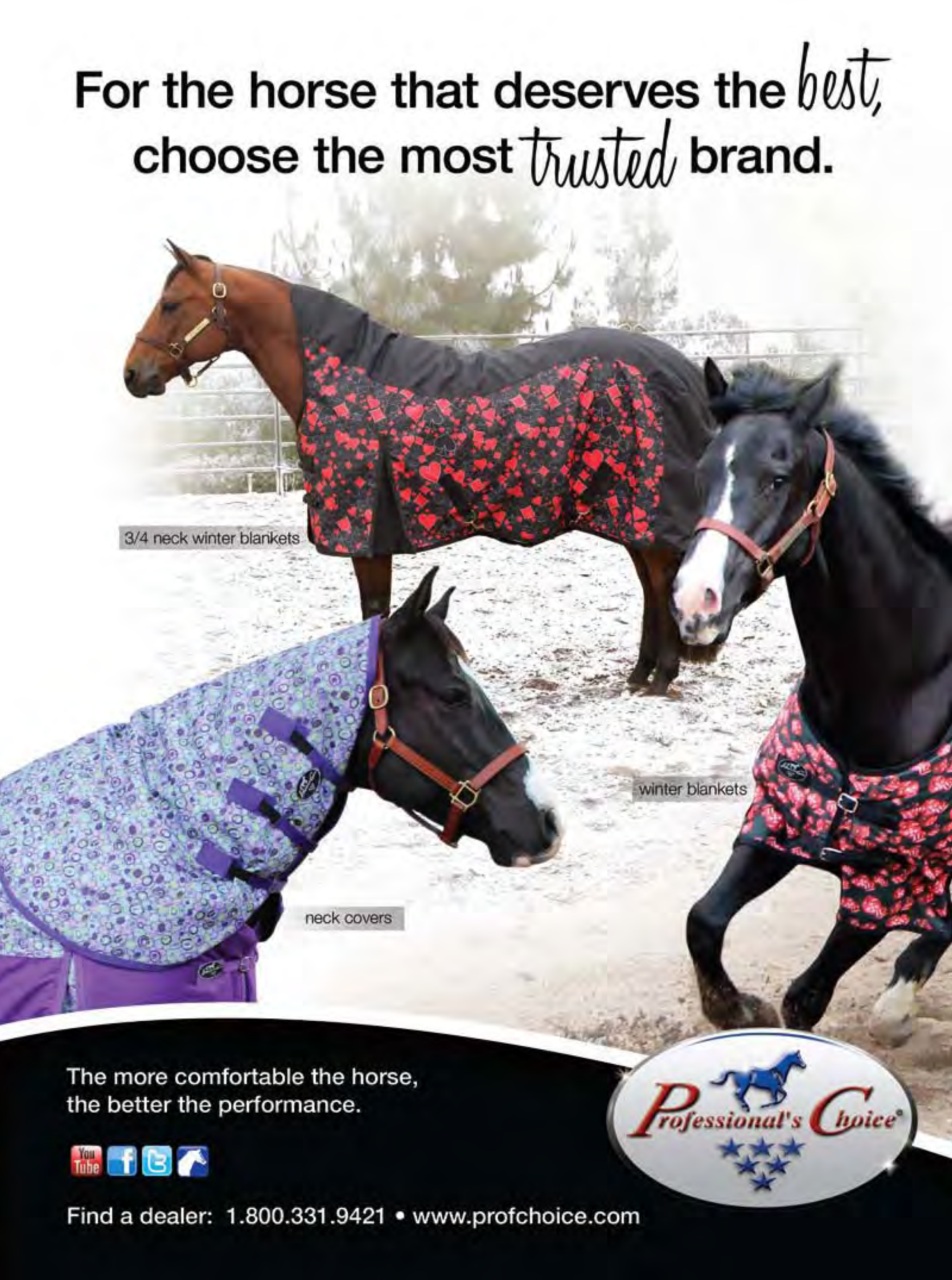 Western Horse Review Preview Pages