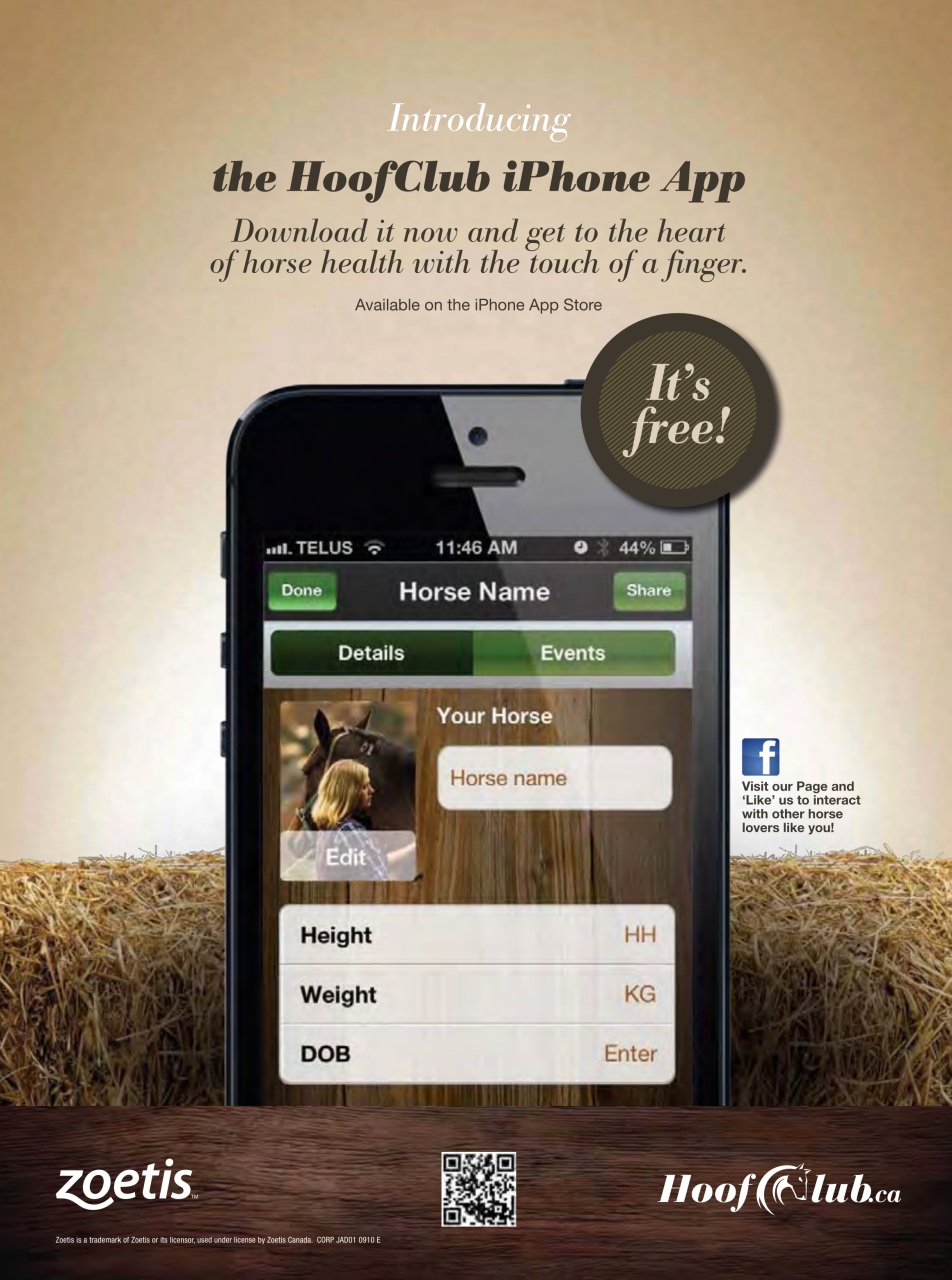 Western Horse Review Preview Pages