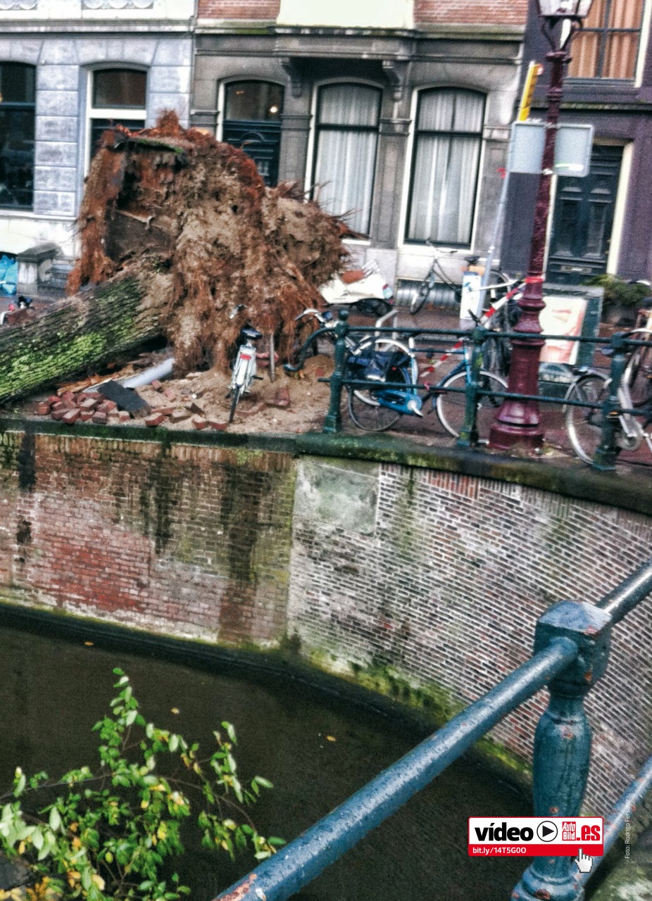 Auto Bild Preview Pages