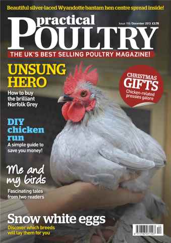 Practical Poultry issue No.118 Snow White Eggs