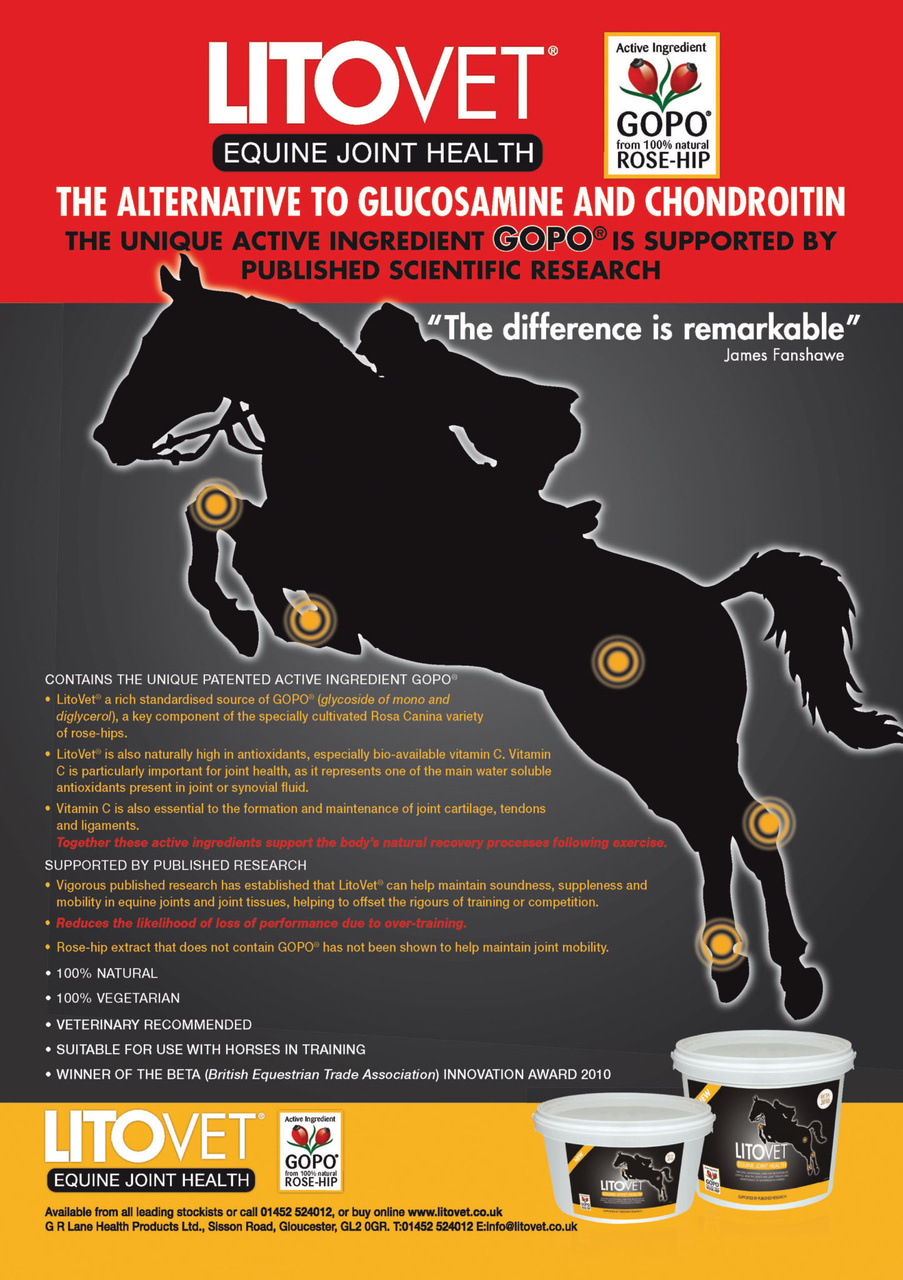 European Trainer Magazine - horse racing Preview Pages