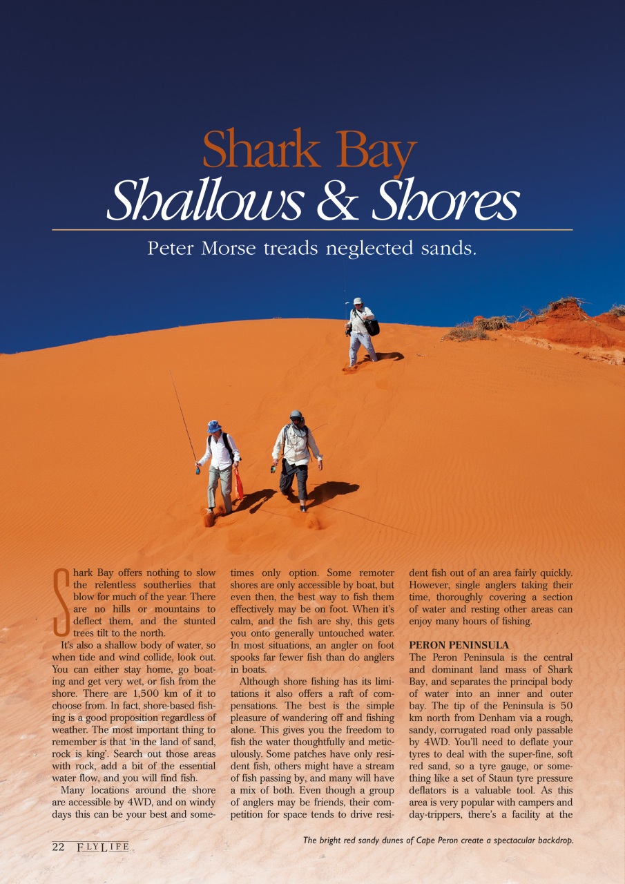 FlyLife Preview Pages