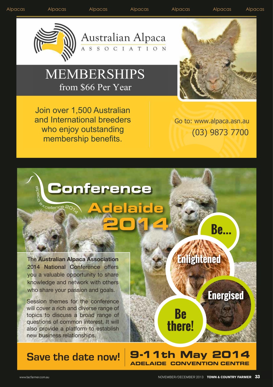 Town And Country Farmer Preview Pages