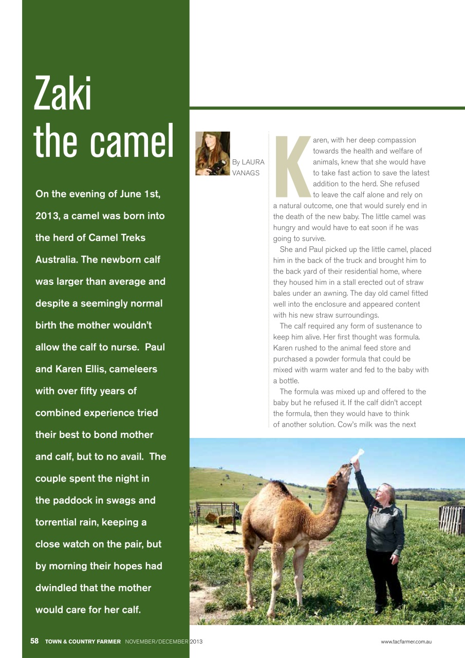 Town And Country Farmer Preview Pages