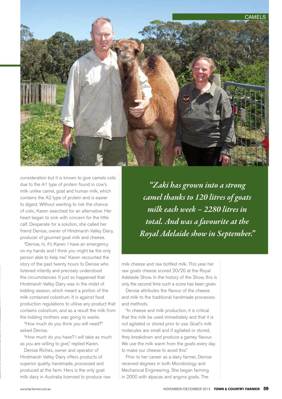 Town And Country Farmer Preview Pages