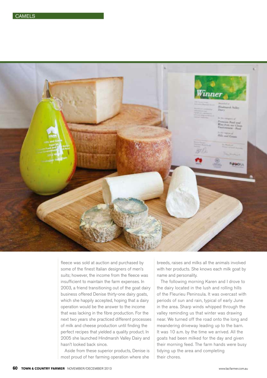 Town And Country Farmer Preview Pages