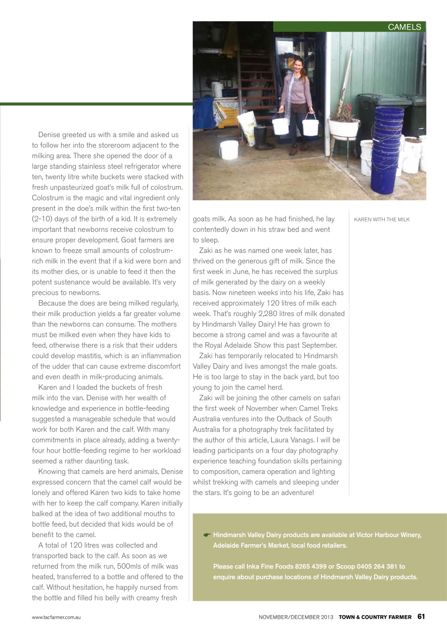 Town And Country Farmer Preview Pages