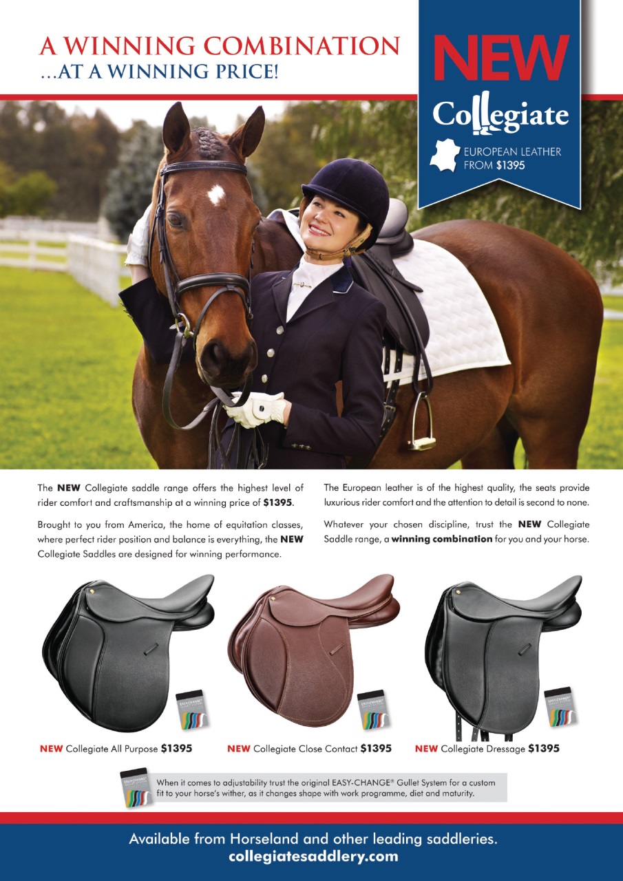 HorseWyse Magazine Preview Pages