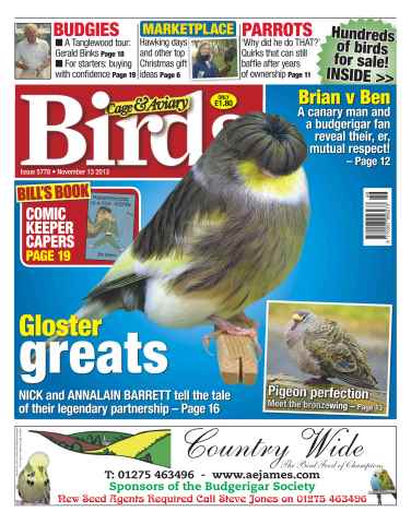 Cage & Aviary Birds issue No.5778 Gloster Greats