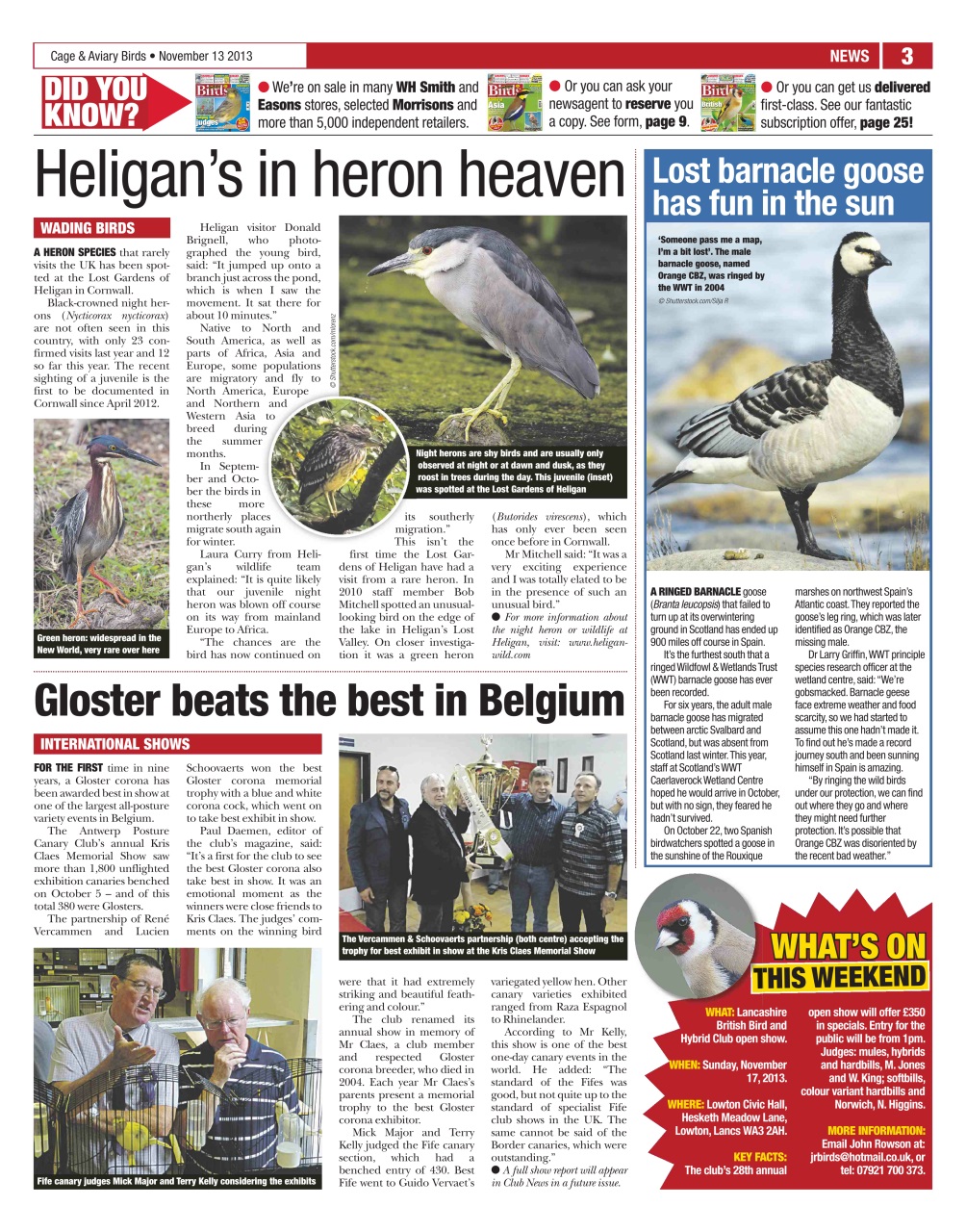 Cage & Aviary Birds Preview Pages