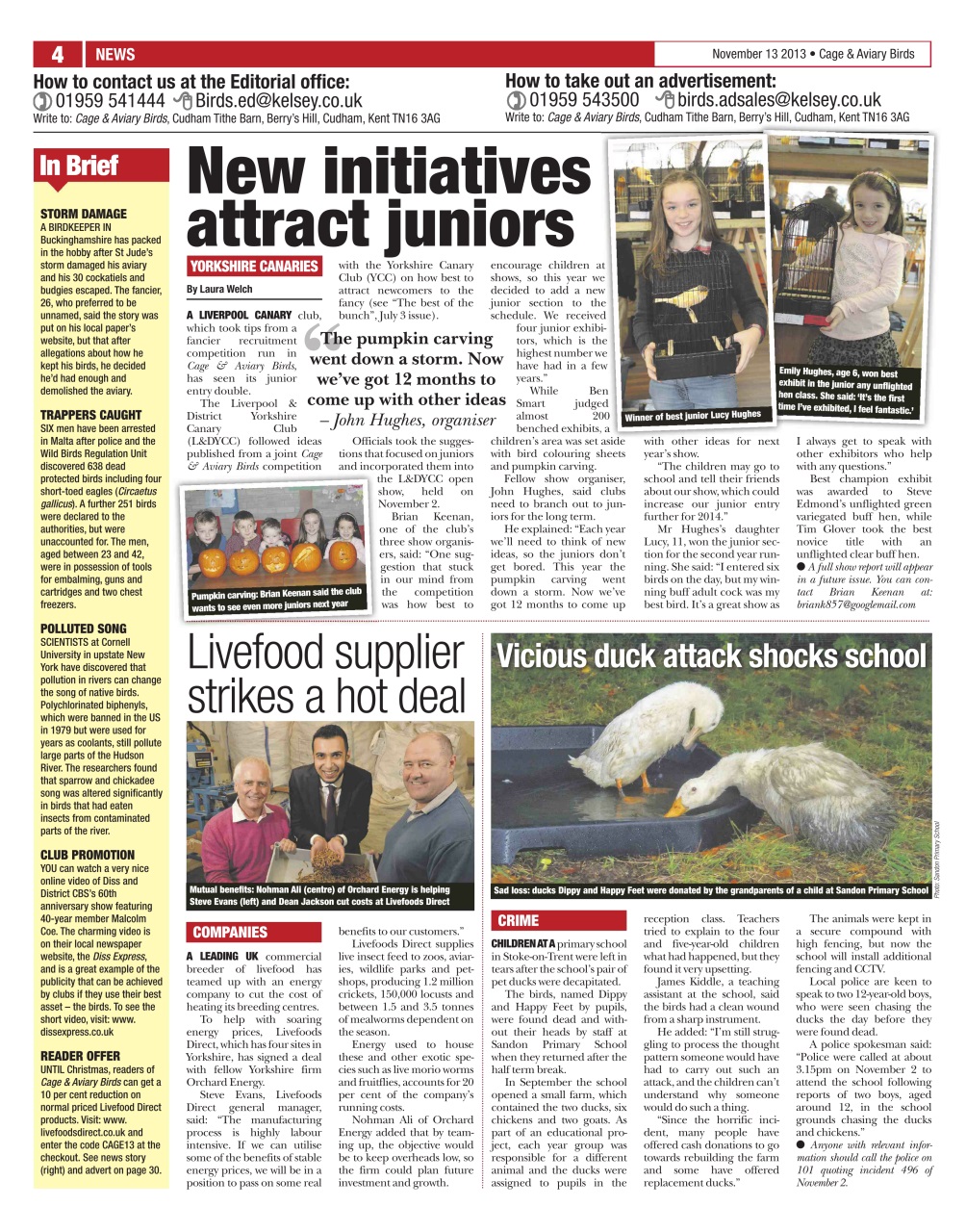 Cage & Aviary Birds Preview Pages