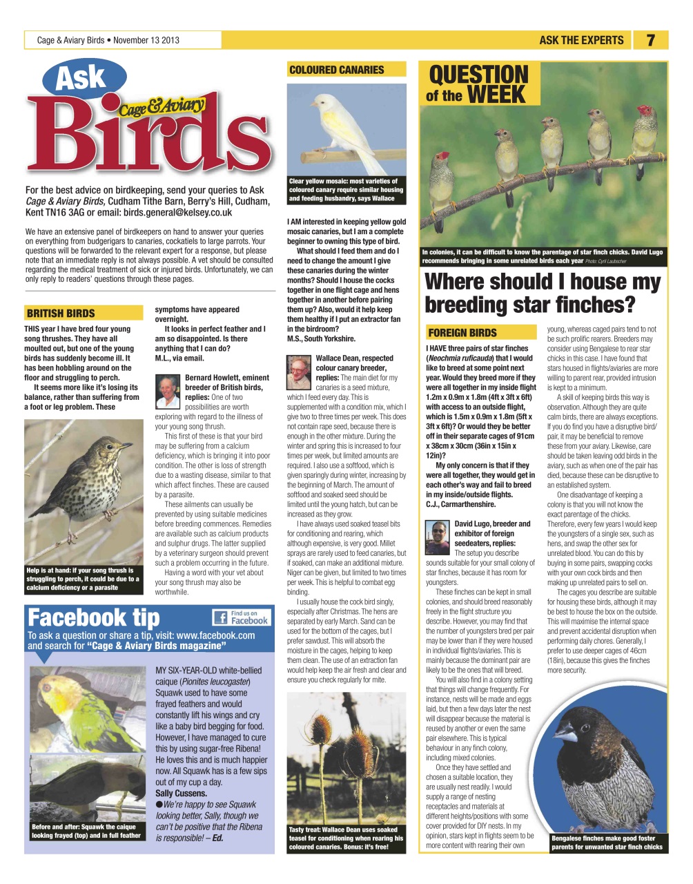 Cage & Aviary Birds Preview Pages